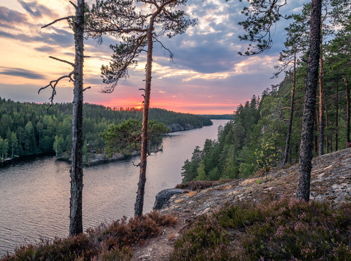 Navigating the Real World Data (RWD) landscape in Finland